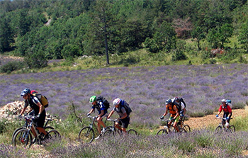 luberon